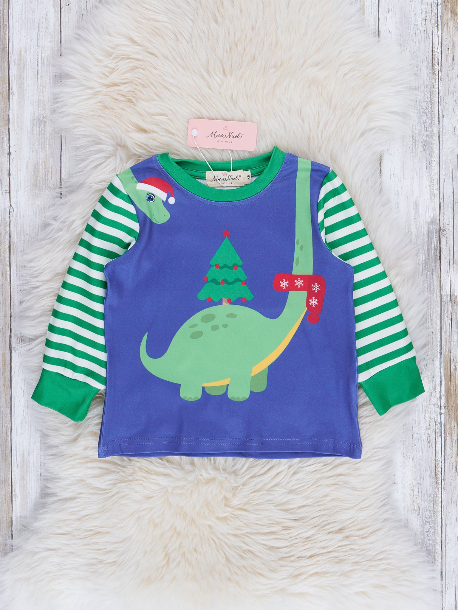 Blue & Green Holiday Dino Striped Raglan Top - Marie Nicole Clothing