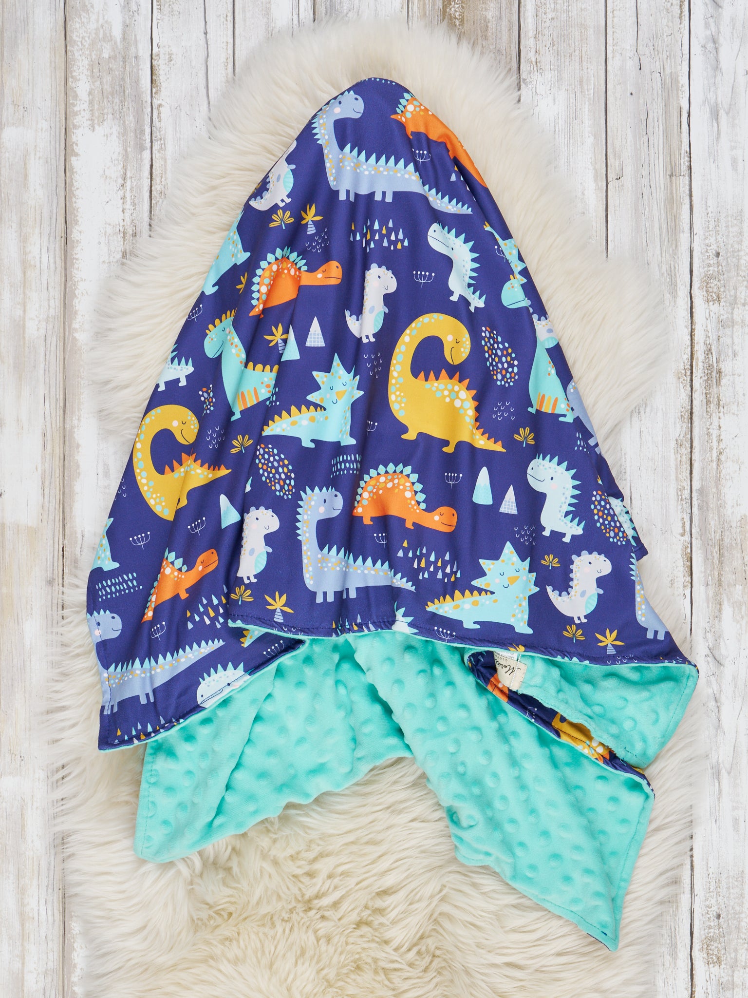Dinosaur Friends Minky Blanket - Marie Nicole Clothing