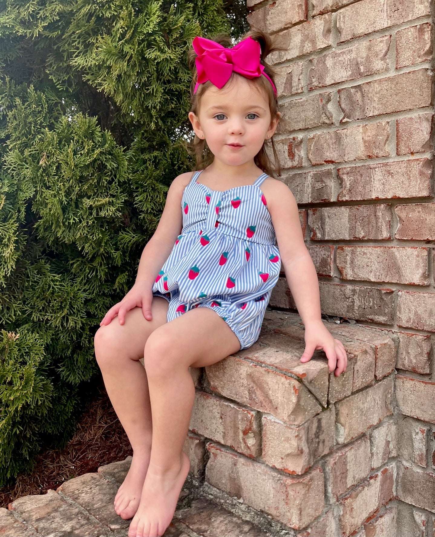 Blue Pinstripe Strawberry Ruffle Romper - Marie Nicole Clothing